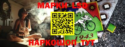 гидра Моздок