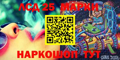 гидра Моздок