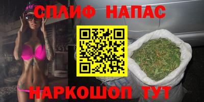гидра Моздок