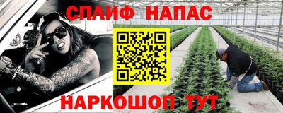 гидра Моздок