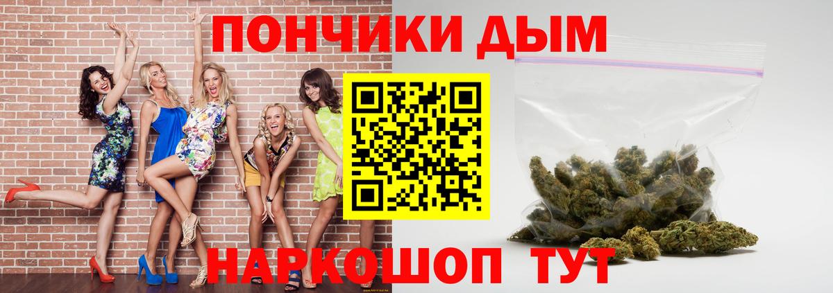 Канабис сатива Чернушка
